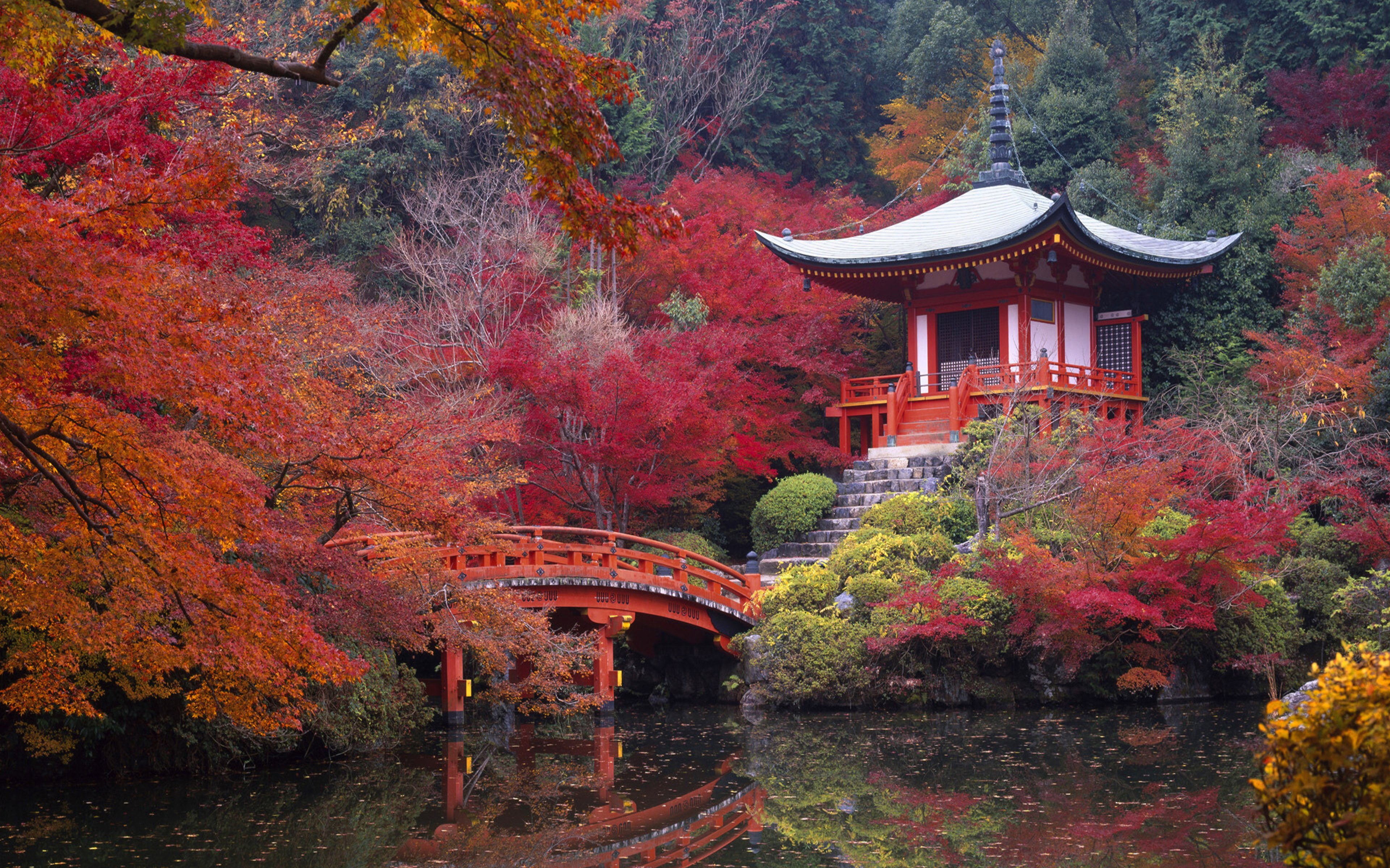природа, японский сад, 4к обои