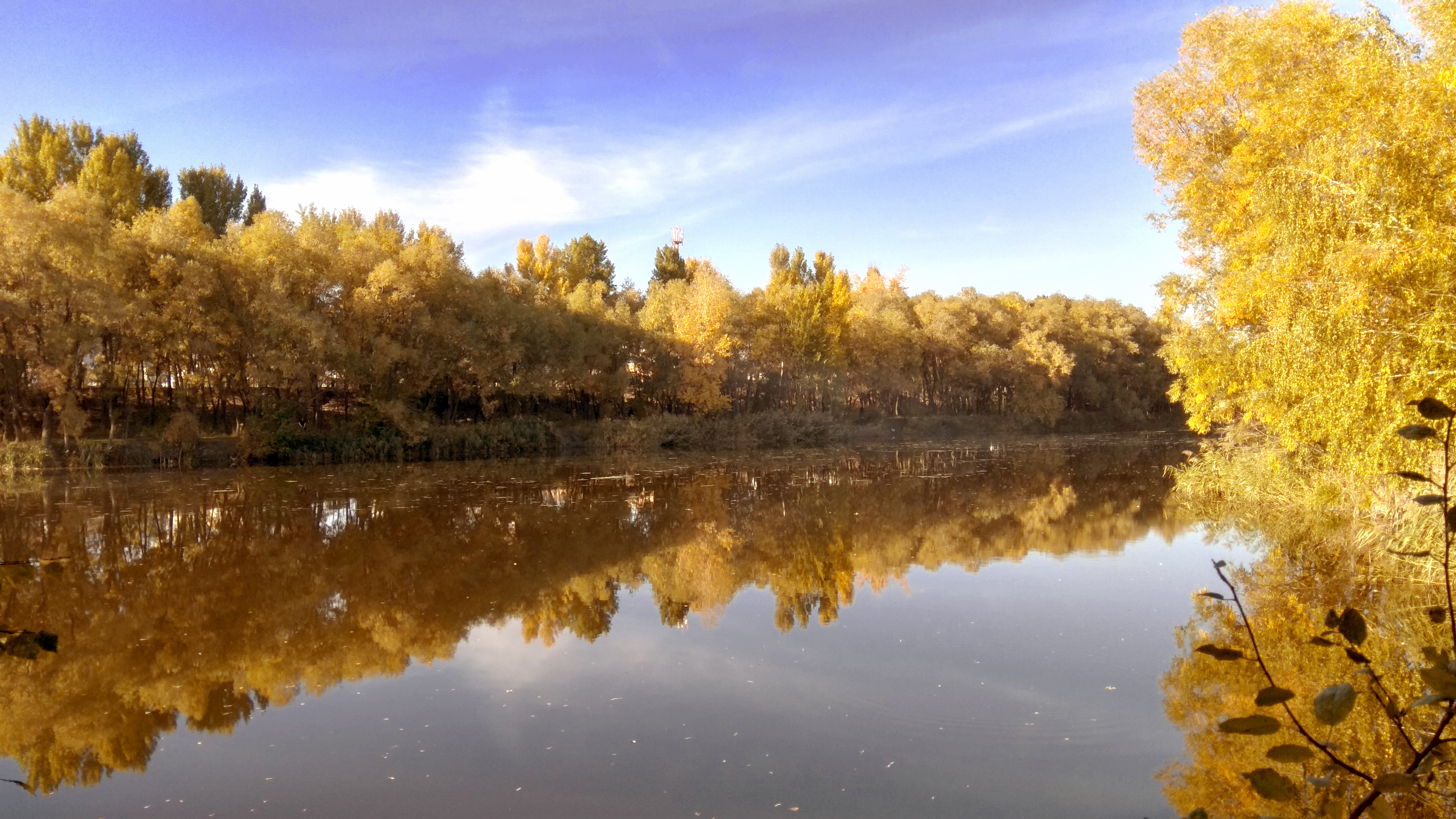 природа, осень, спокойное озеро осенью