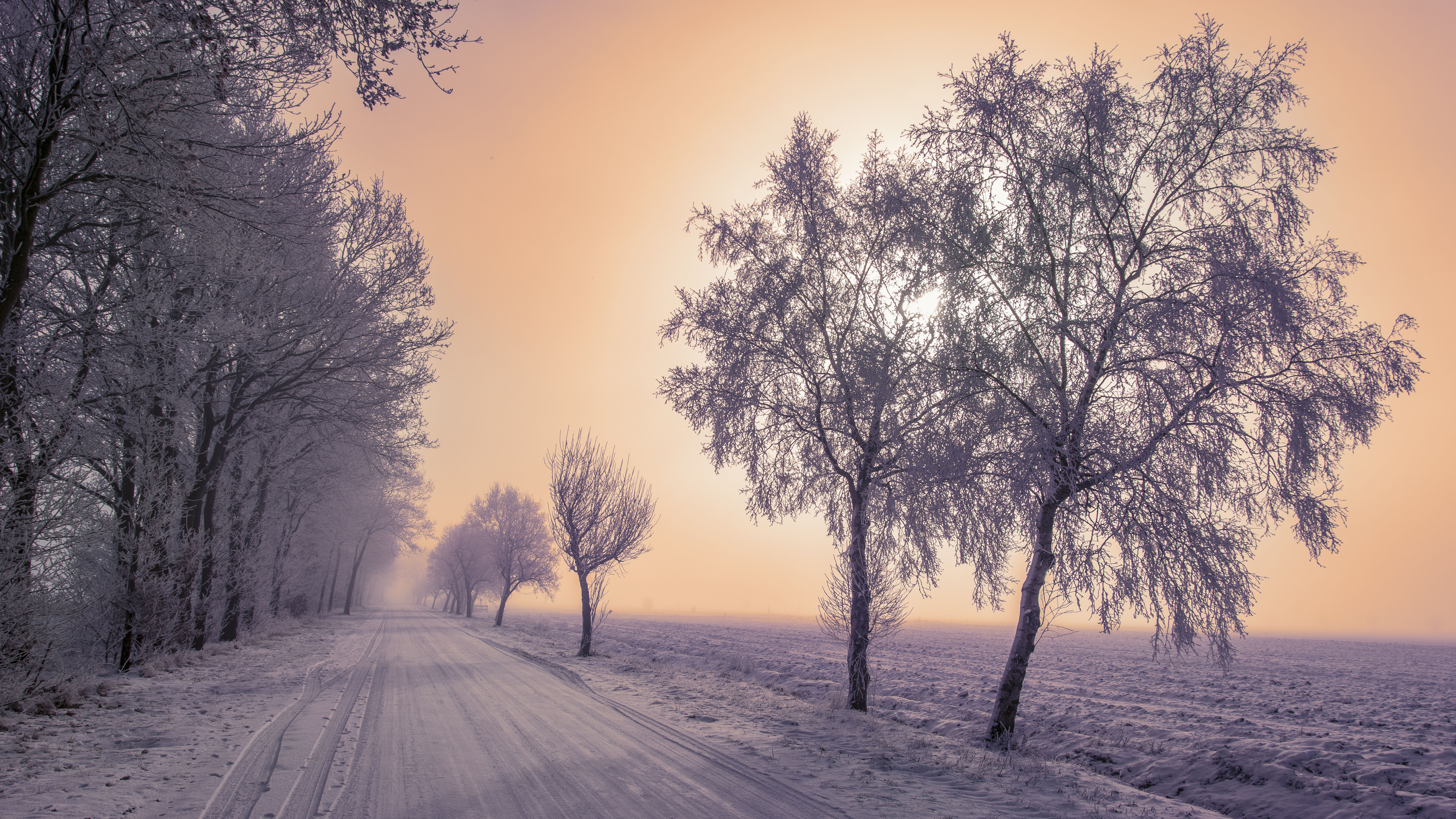зима, снег, дорога, деревья, природа 5к