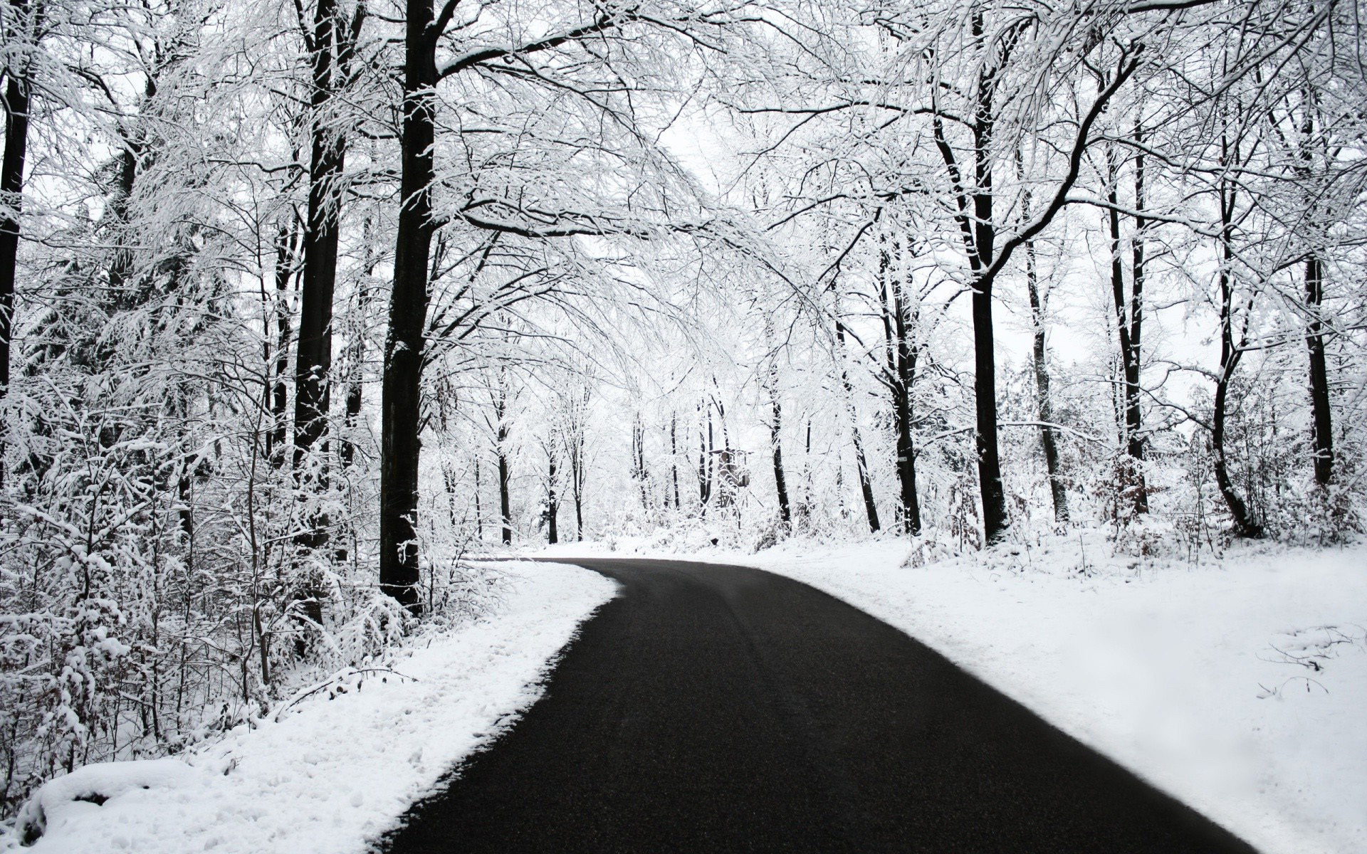 зима, лес, дорога, снег, зимний пейзаж, hd обои