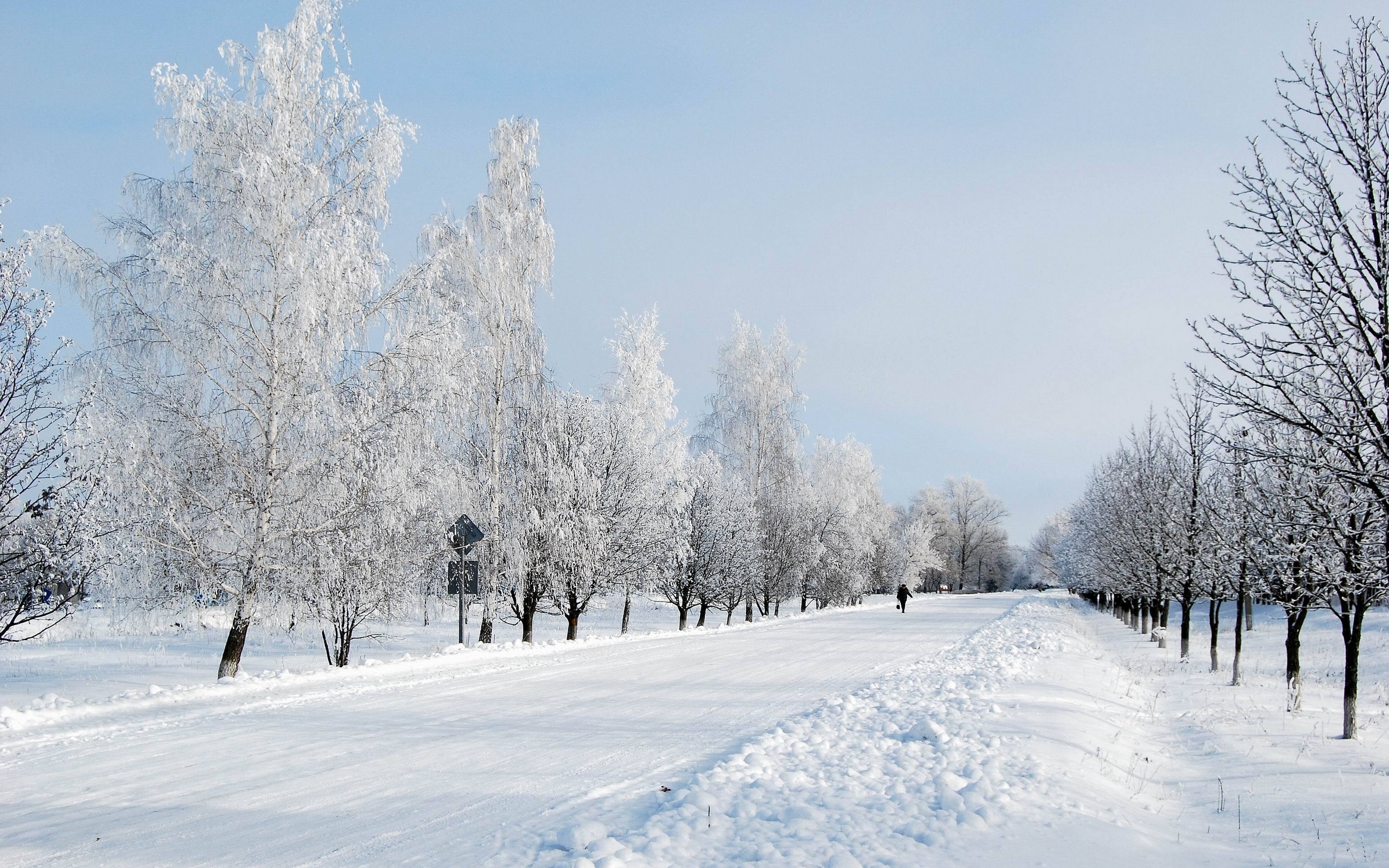зима, снег, дорога, деревья