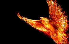 Огненная птица Феникс 3д обои, Феникс, птица огненная, hd wallpapers