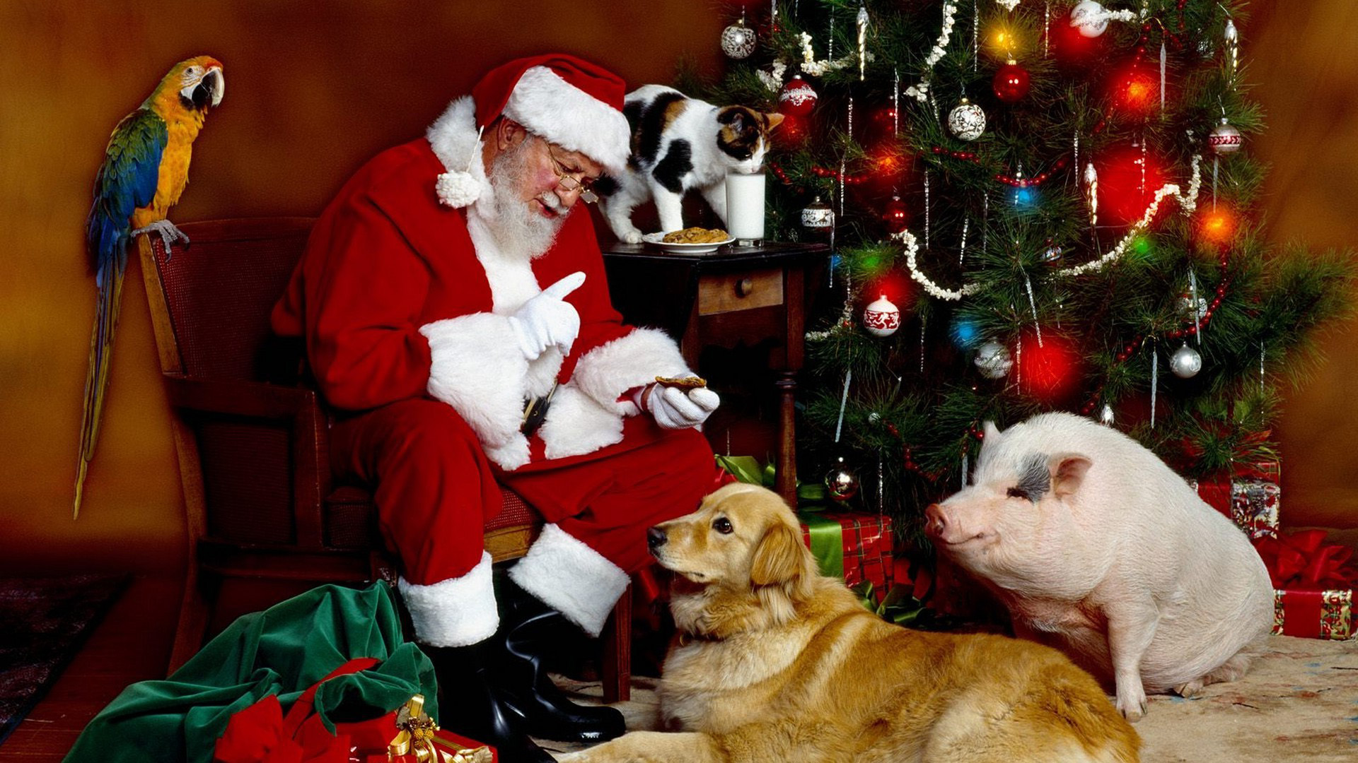 Дед Мороз, Рождество, Новый Год, санта, животные, full hd обои