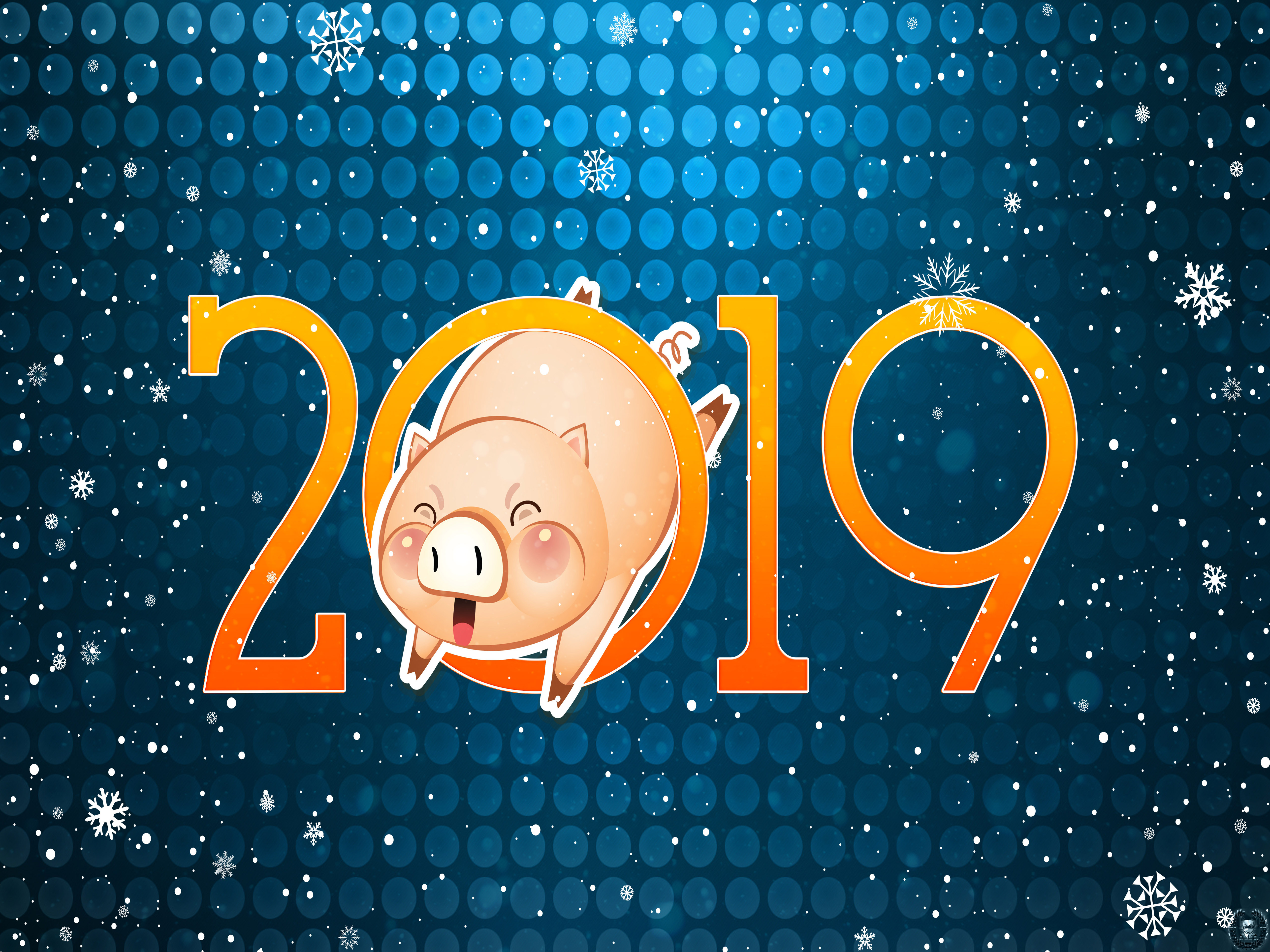 год свиньи, Новый Год 2019