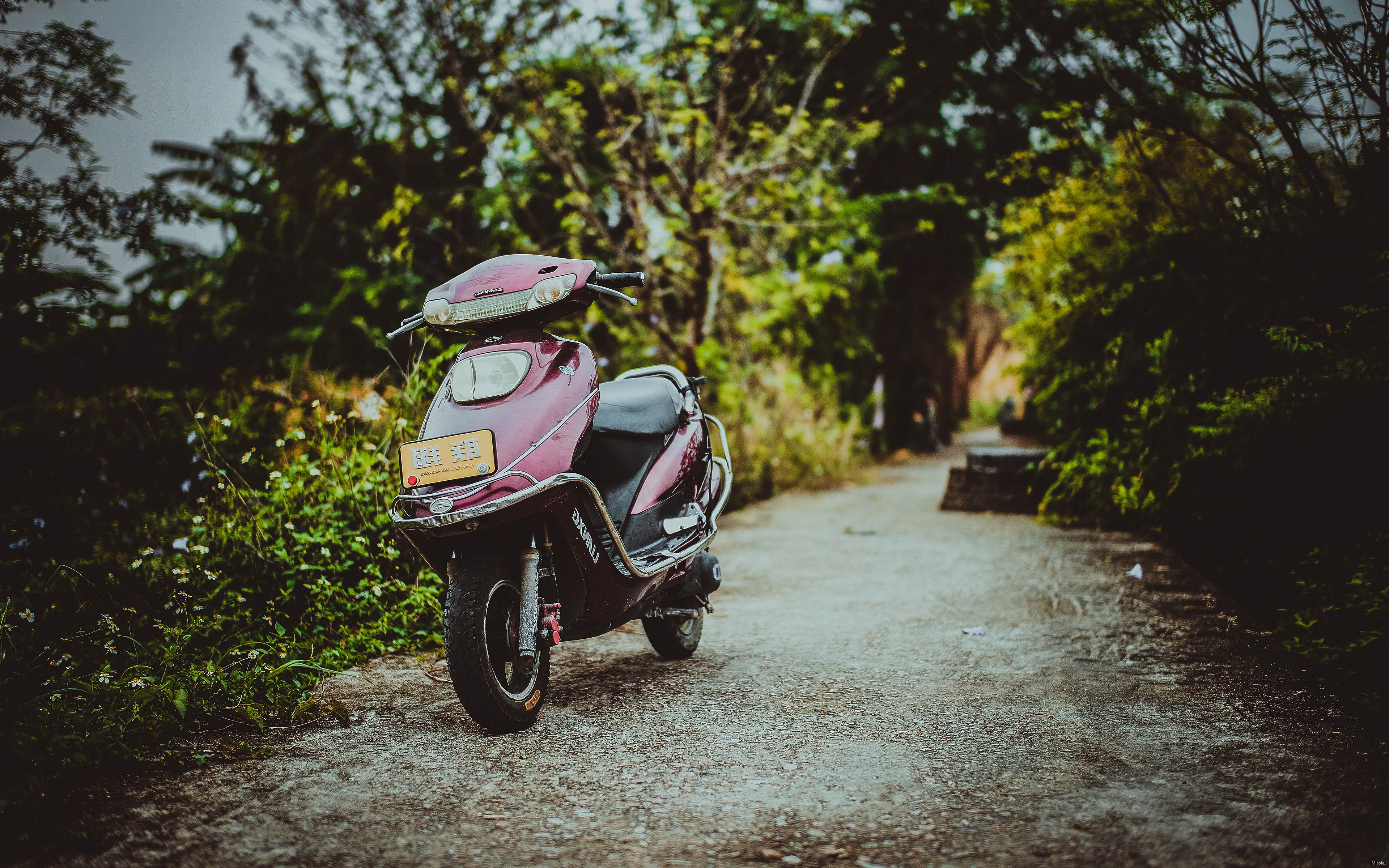 мотоцикл, мопед, скутер, scooter, moto, moped