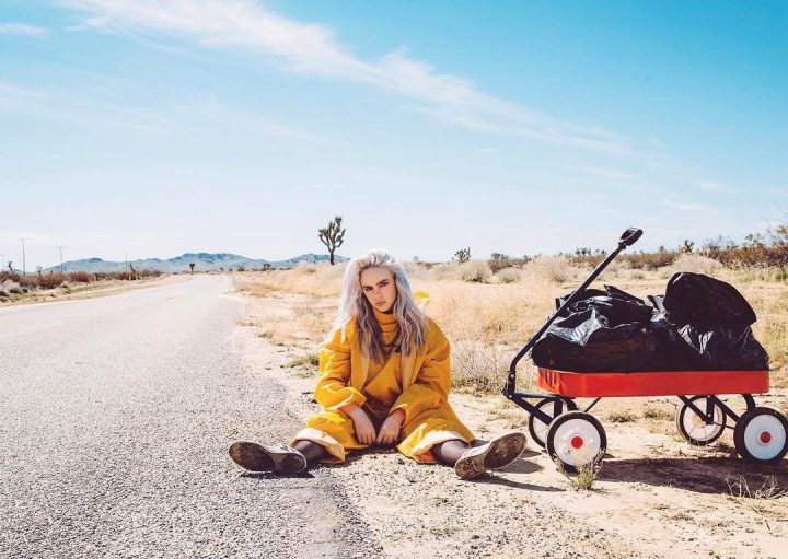 Фото billie eilish в купальнике