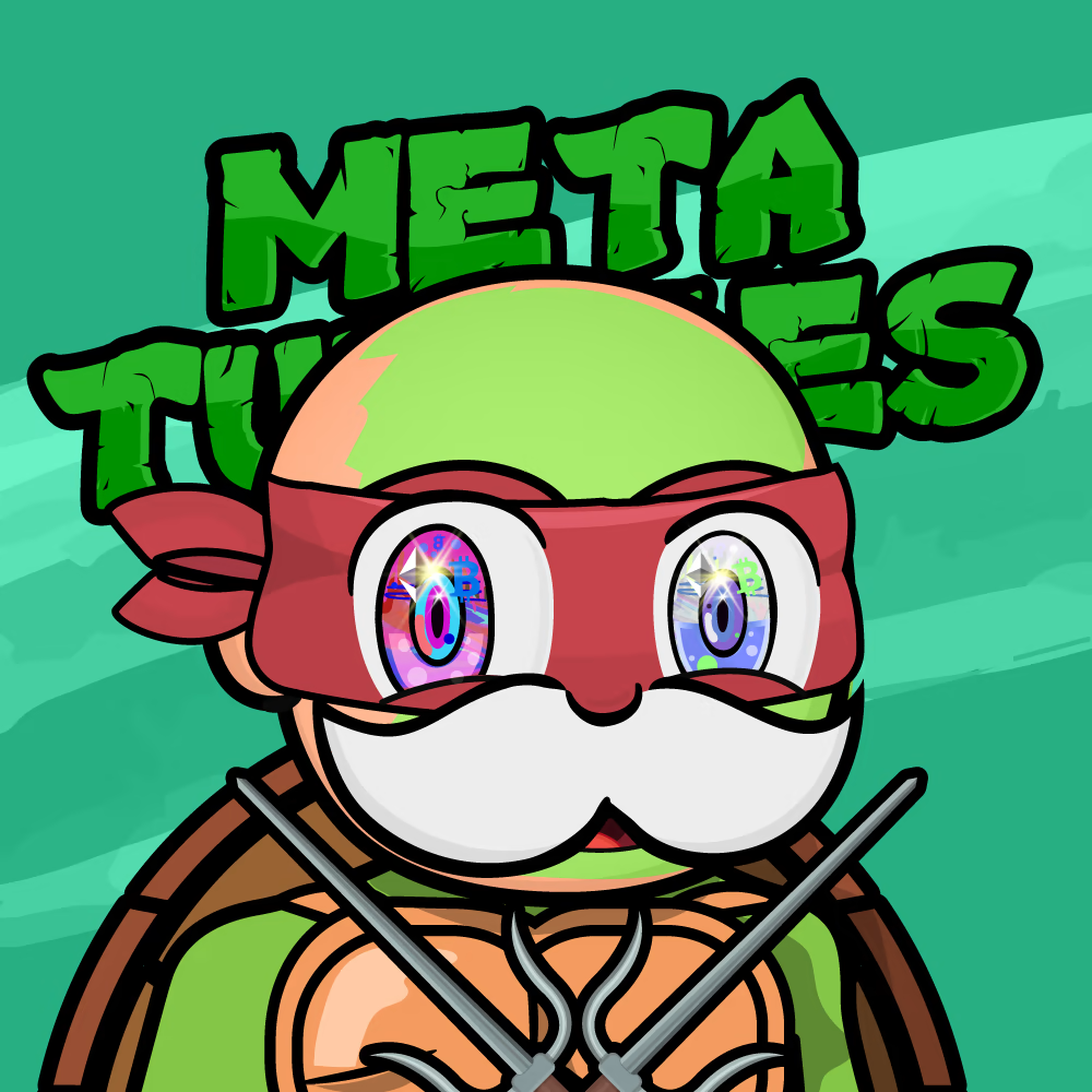 ninja turtle avatar